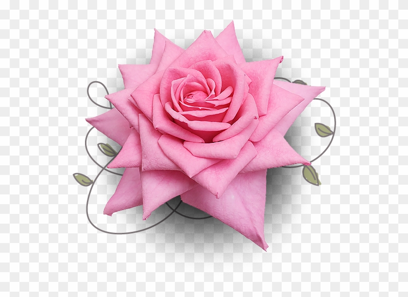 Bouquet - Dulzura Para El Alma #862727