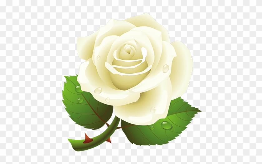 White Rose Png Image Mart - White Rose Png Image Mart #862991