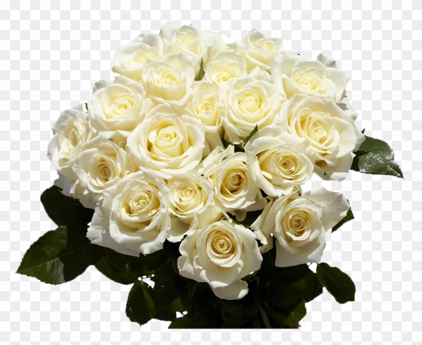 White Roses Free Png - White Roses Free Png #862993