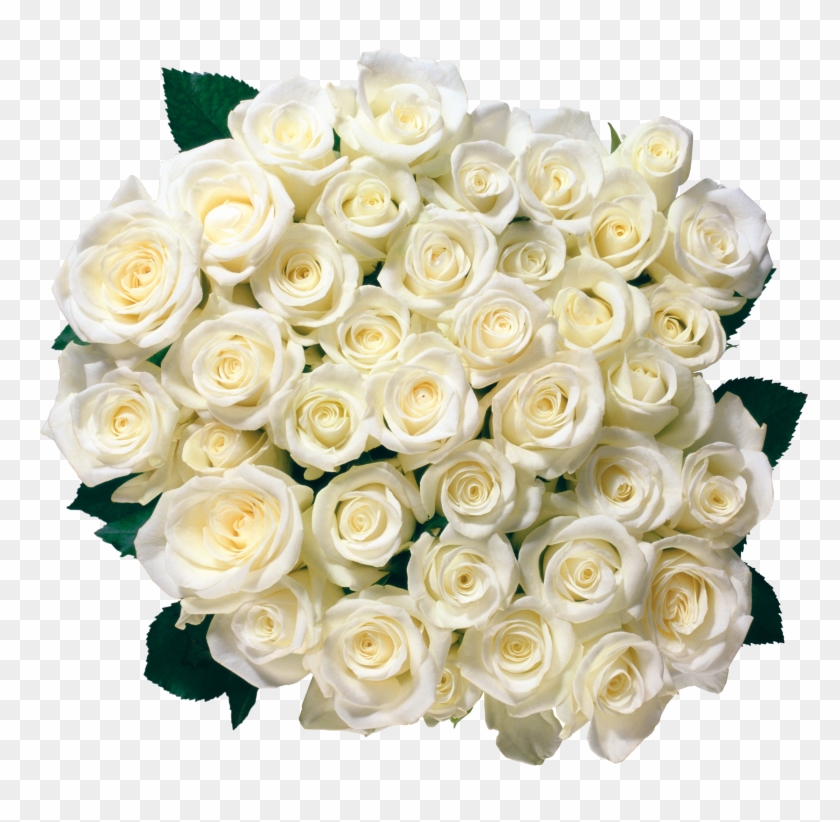 White Roses Png #863000