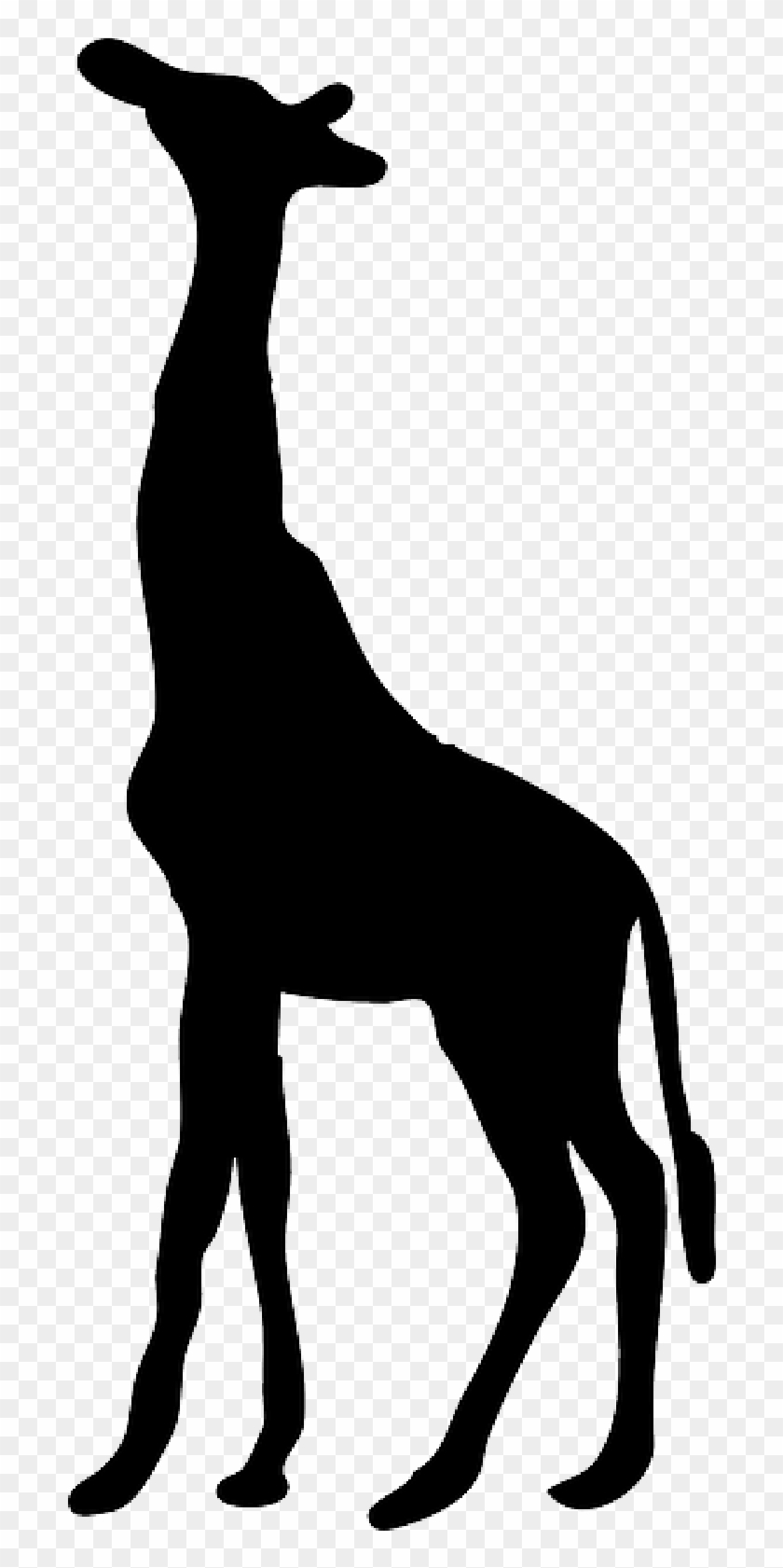 Silhouette, Giraffe, Long, Neck, Tall, Reach - Giraffe Silhouette Png #863020