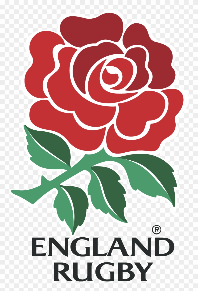 England Rugby Logo Vector - Springboks Vs England #863025