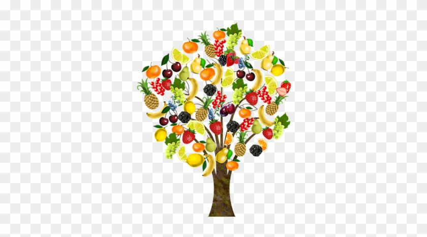 Fruit Tree - Arbol De Frutas Png #863264