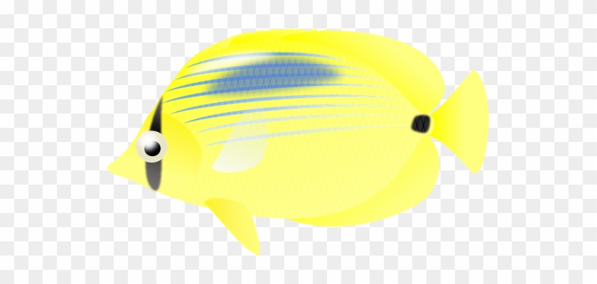 Butterfly Fish Clipart - Clip Art #866497