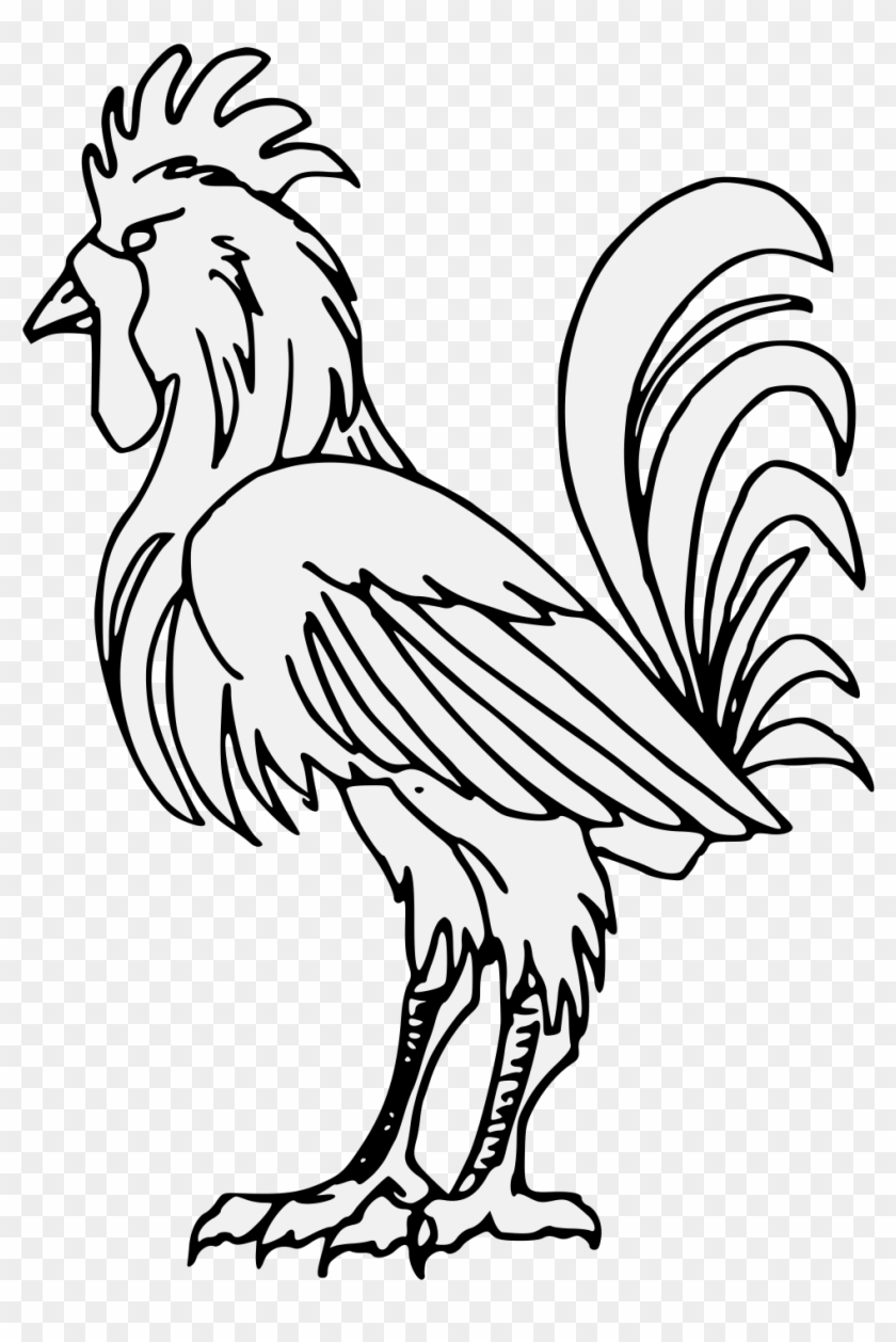 Cock - Art #866883