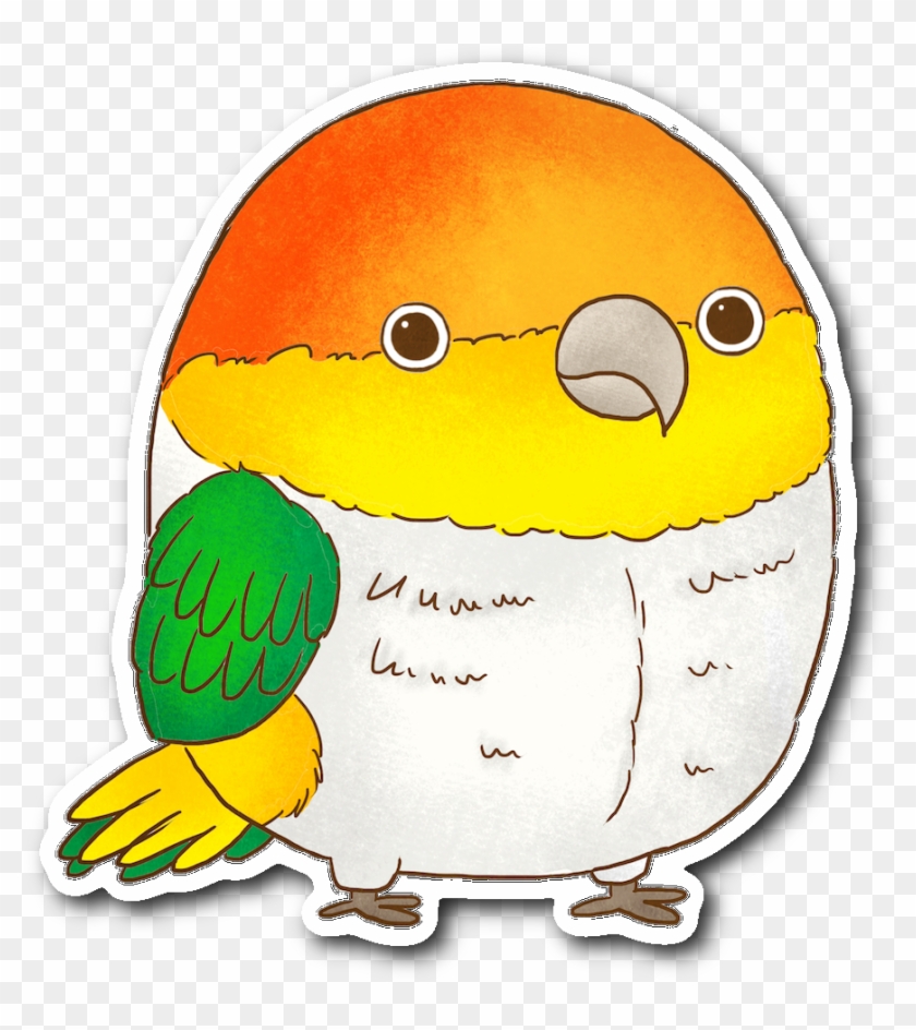 Caique Sticker - Caique #866972