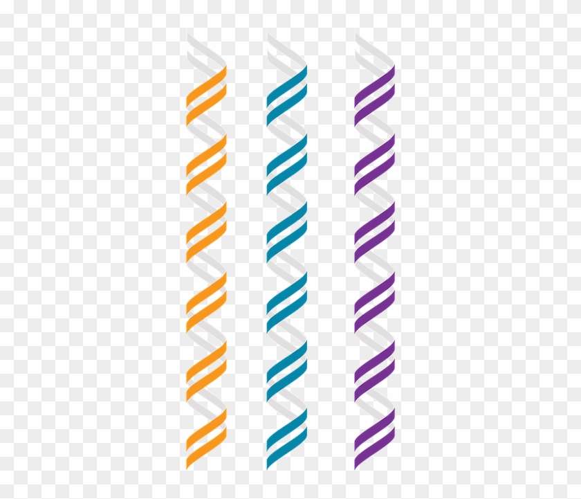 These Are Representations Of A B-dna Double Helix And - Ribbon #867417