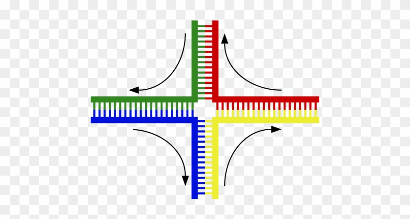 Structure Of The Holliday Junction Intermediate In - Holliday Junction #867421