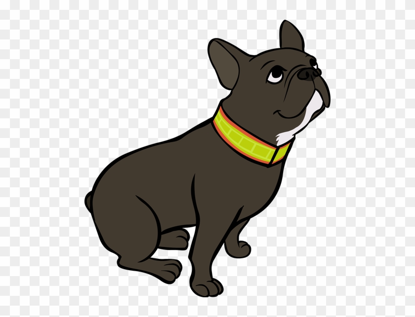 Reflective Collar Velcro 2" Width - French Bulldog #868172