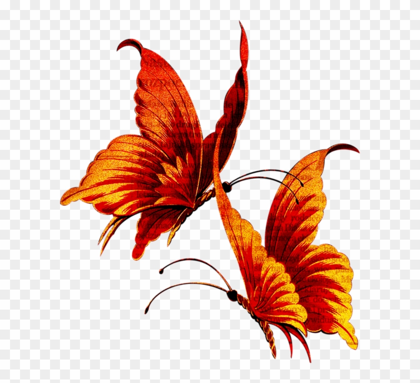 Clipart Butterflies - Пеперуда Гиф #869399