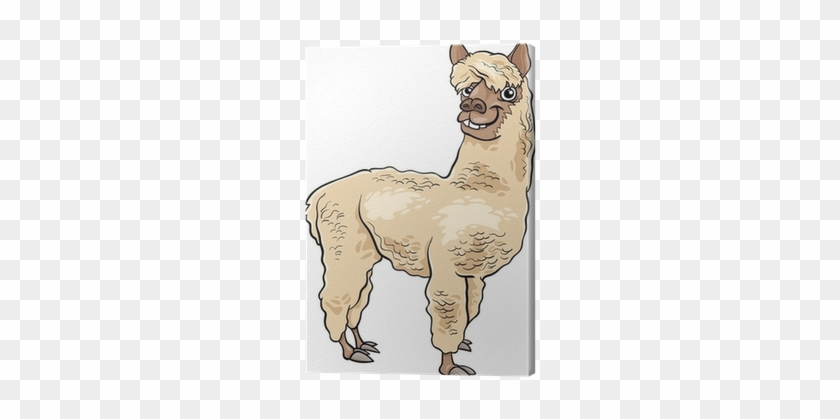 Alpaca Animal Cartoon Illustration Canvas Print • Pixers® - Alpaca Vector Cartoon #869859