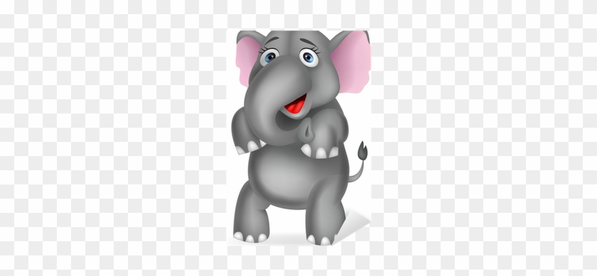 Elephants #869902