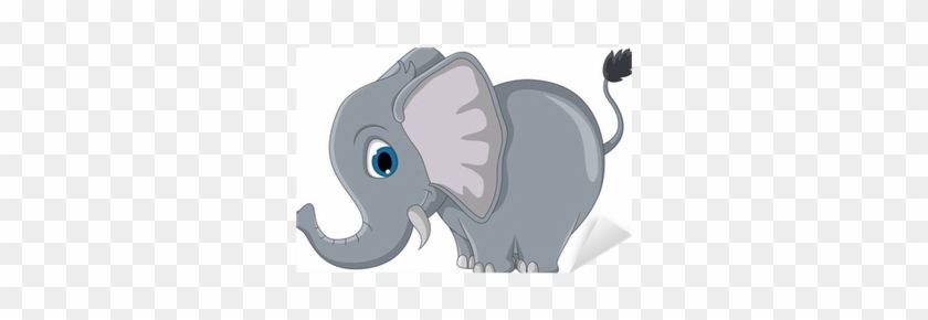 Elephants #869920