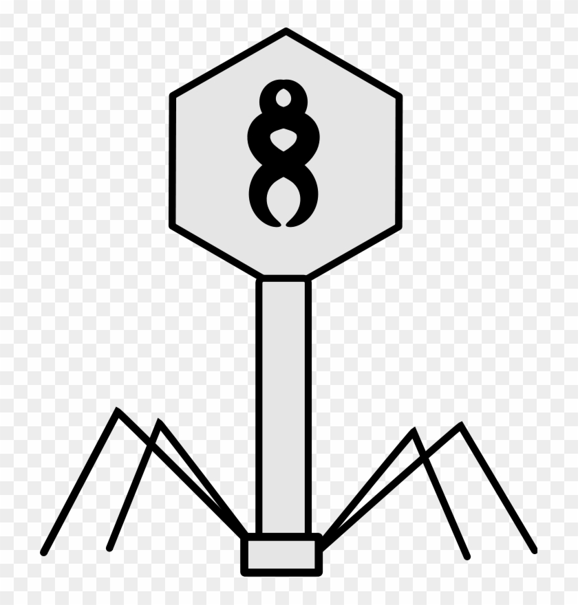 Virus Clip Art - Virus Black And White #870150