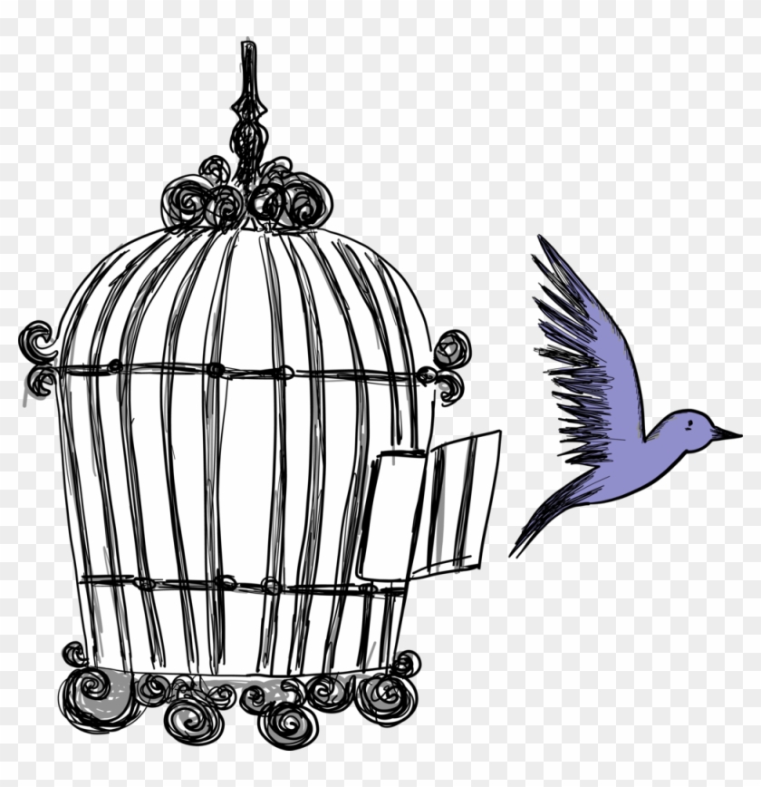 Bluebird #870492