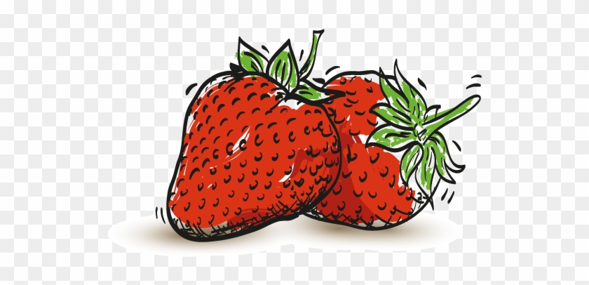 Dalhousie Strawberries - Strawberry #870496