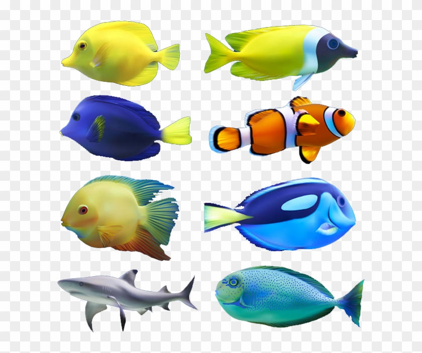Euclidean Vector Fish Computer File - L002 Removable Bathroom Shower Door Glass Sticker #872008