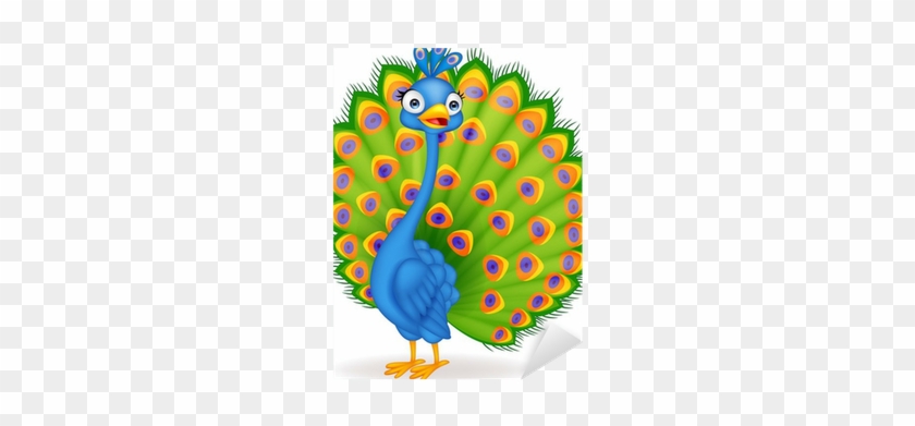 Peacock Cartoon #872276