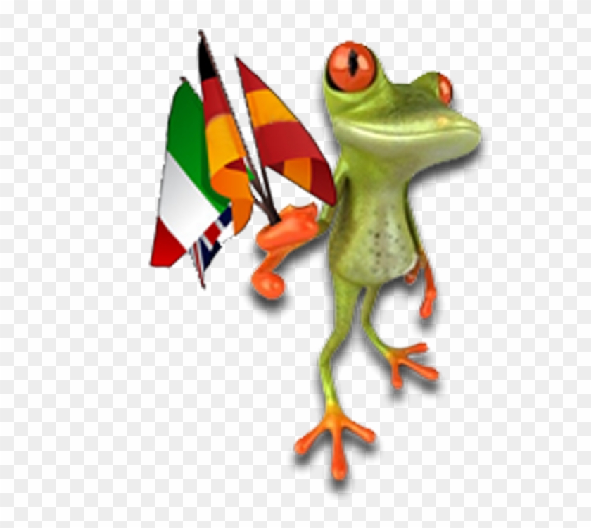 Grenouille1 - Champagne #872349