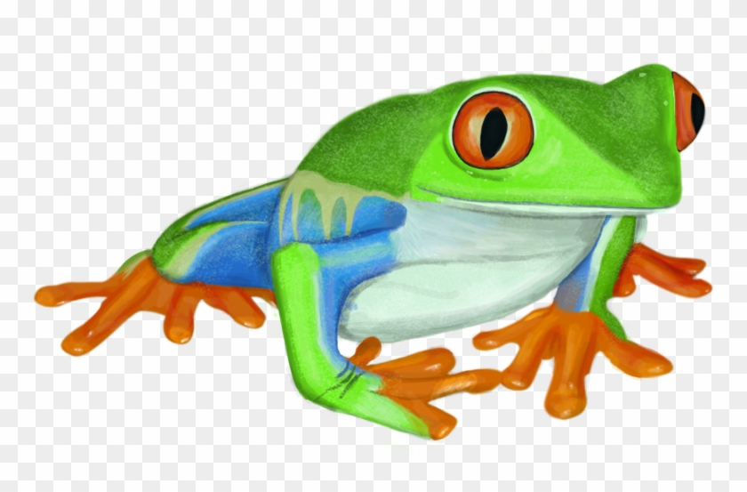 Red-eyed Tree Frog #872469