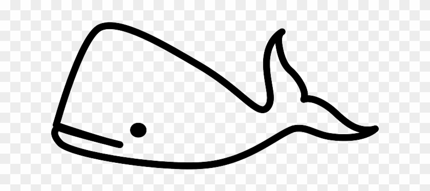 Sketch, Silhouette, Cartoon, Template, Fish, Cute - Outline Of A Whale #873005