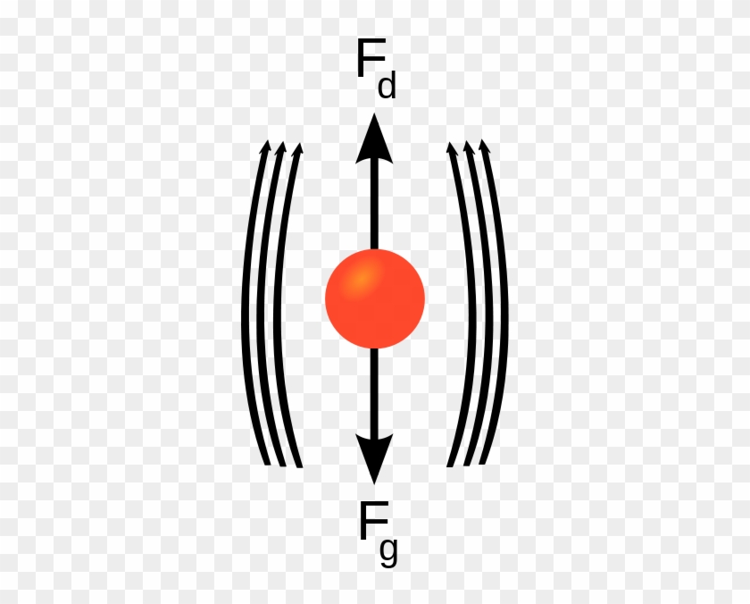 The Downward Force Of Gravity Equals The Restraining - Terminal Velocity #873567