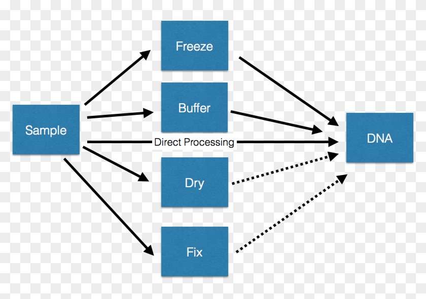 Sample2 - Buffer Science Example #873622