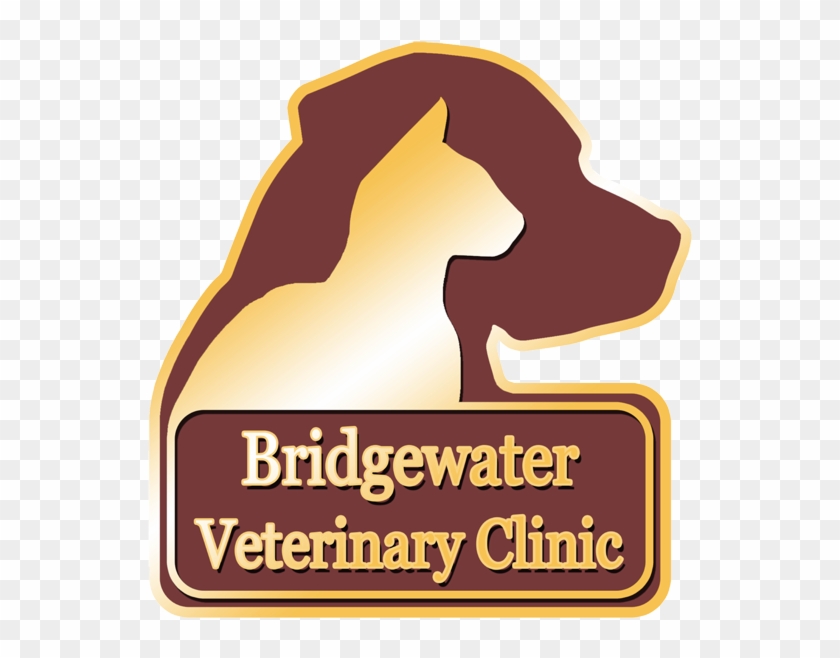 "caring For Pets And The People Who Love Them Since - "caring For Pets And The People Who Love Them Since #875521