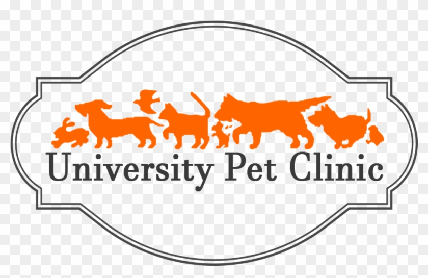 Athabasca University #875525
