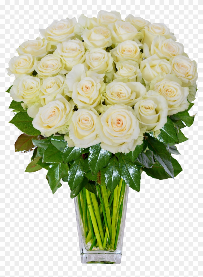 White Roses Png Background Image - Valentinske Darceky Ruze A Medved #875574