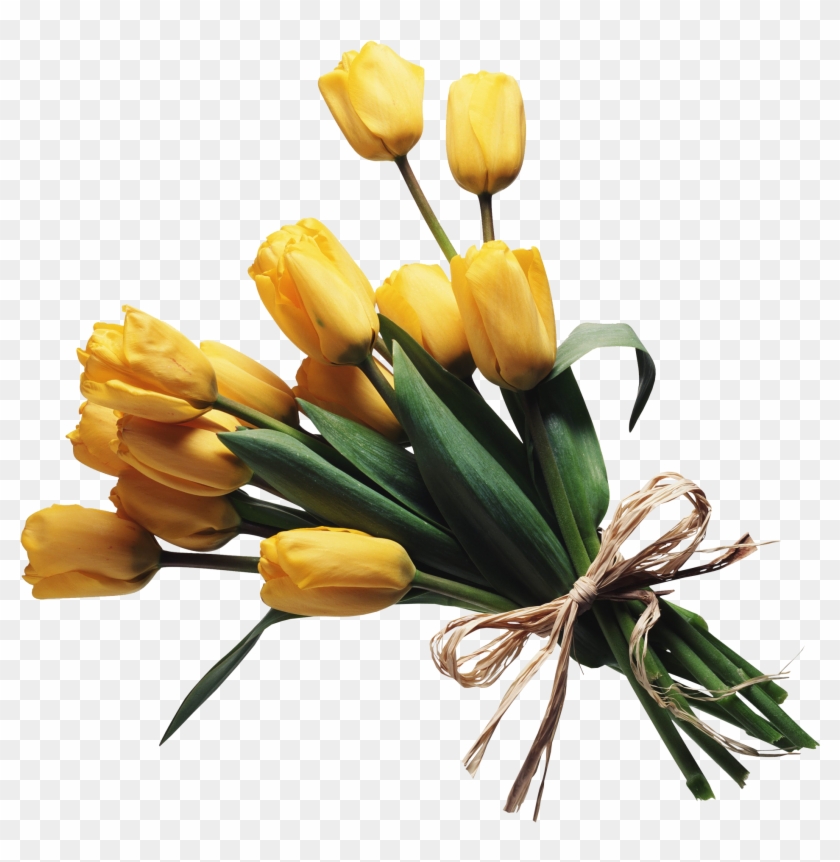 Flower Bouguet On Transparent Background #875650