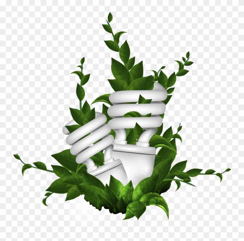 Natural Environment Euclidean Vector Energy Illustration - Portable Network Graphics #875769