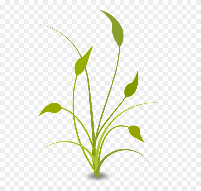 Flat Nature Plants Green Ecology Flat Plants And Tree - Floral Decoration #875808