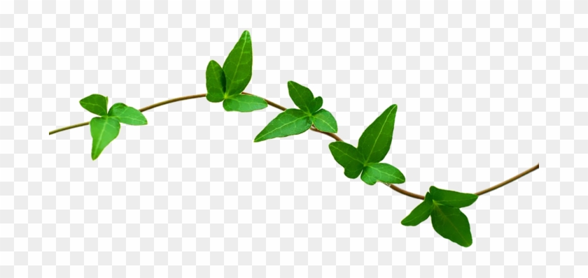 Nature Transparent Png - Clip Art #875834