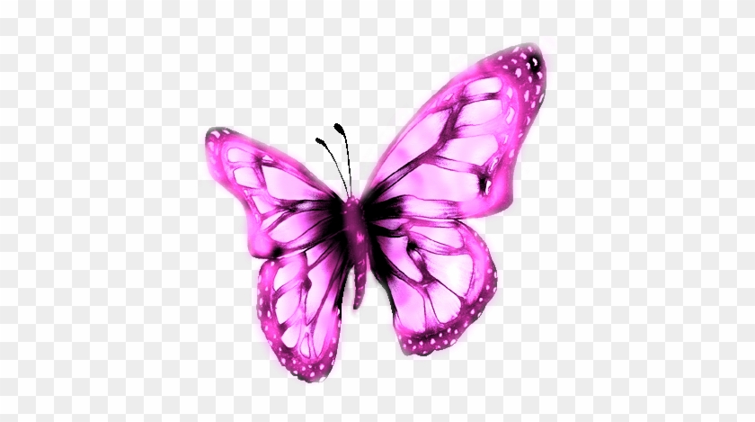 Pink Butterfly - Digital Art #876171
