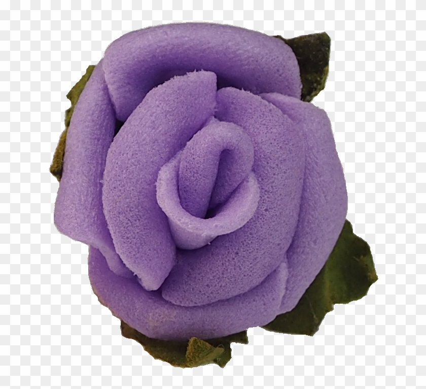 Garden Roses #876433