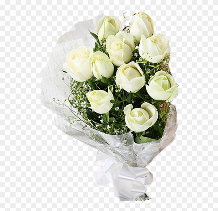 Garden Roses #876816