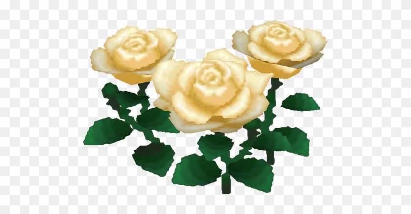 Garden Roses #876878