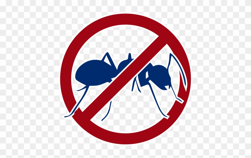 Ants - Hate Sport #877156