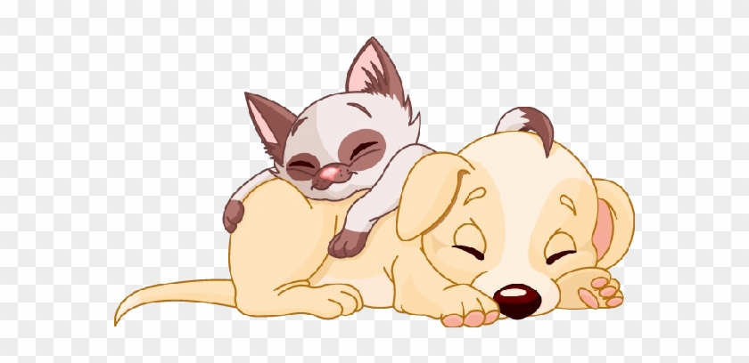 Cats And Dogs Dog Cartoon Images - 貓 狗 插圖 #877612