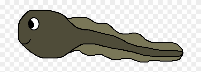 Cute Sea Life Clipart - Tadpole Clipart #879228