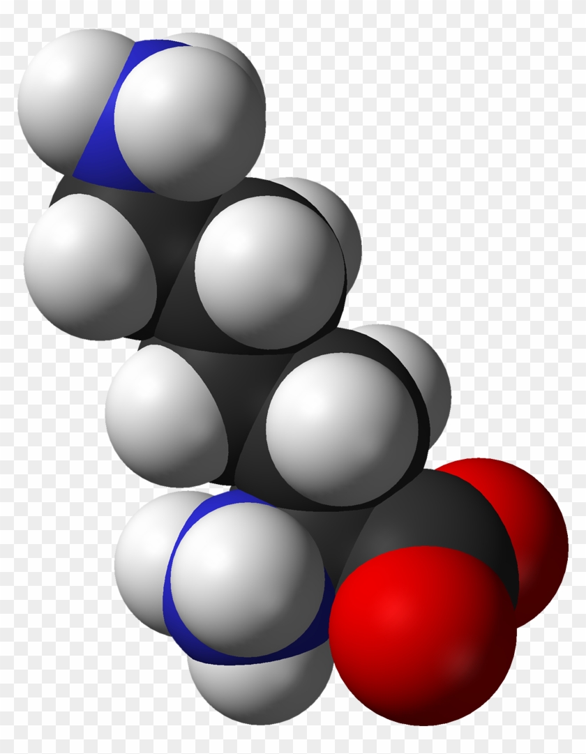 L Lysine Monocation From Hydrochloride Dihydrate Xtal - 2023 #880597