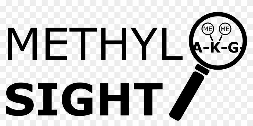 Methylsight Logo - Logo #880654