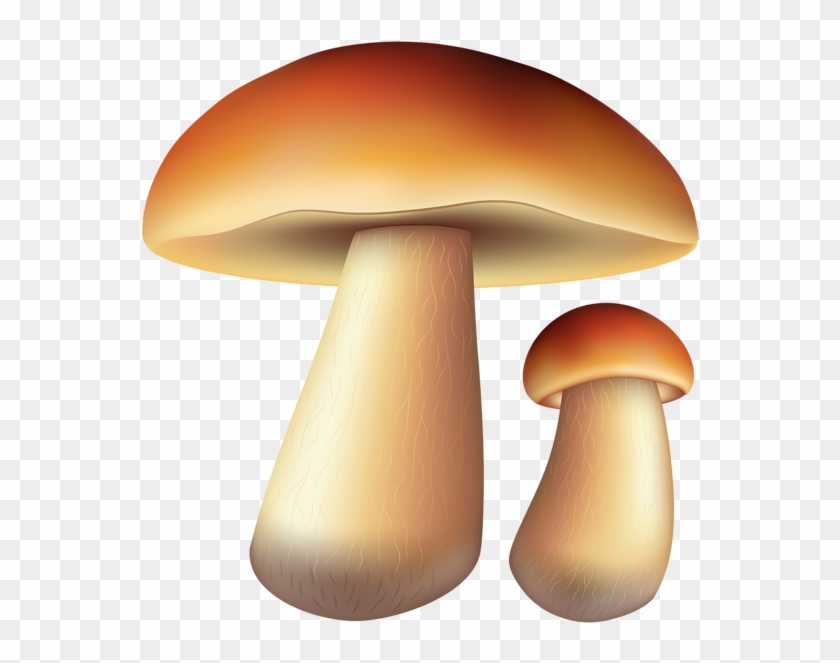 Грибы Бесплатно Png Картинку - Clip Art #880689
