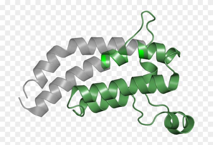 <div Class='caption-body'>1 Copy Of Pfam Domain - Chain-link Fencing #880717