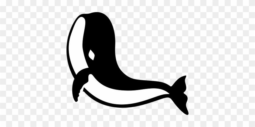 Whale, Fish, Sea Life - Gambar Ikan Paus Kartun #880837