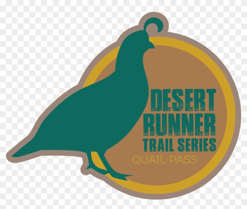 Quail Clipart Bird Male - Bird #881423