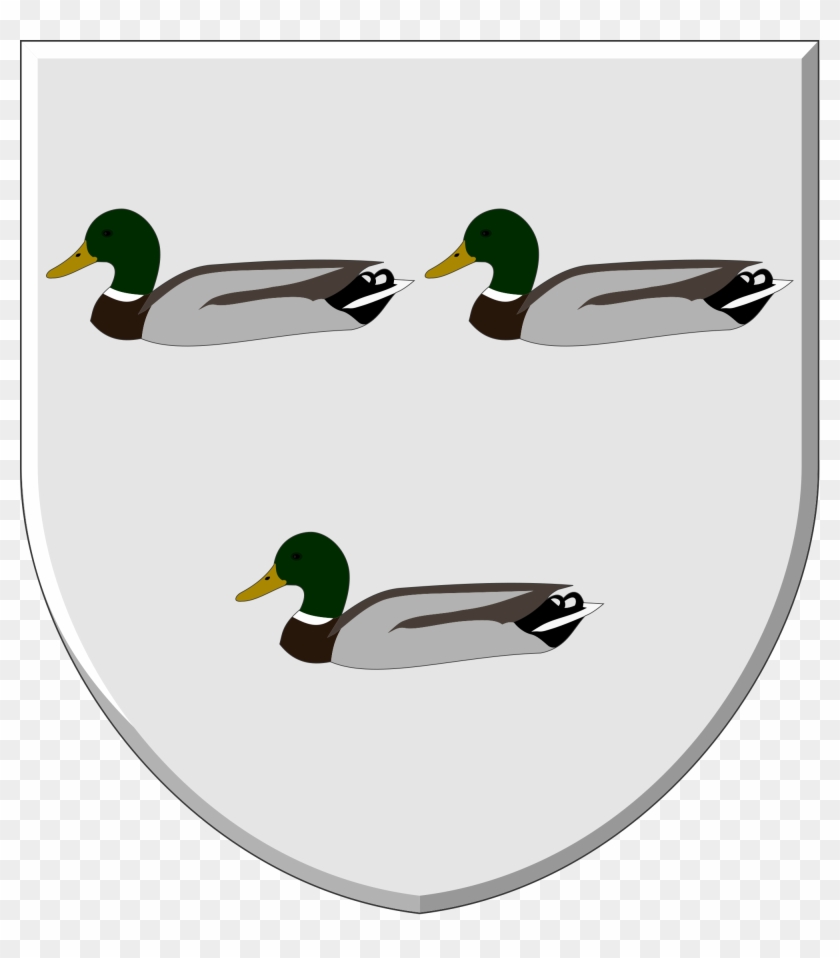 Open - Mallard #881593