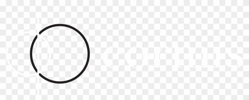 Wordpress #881813