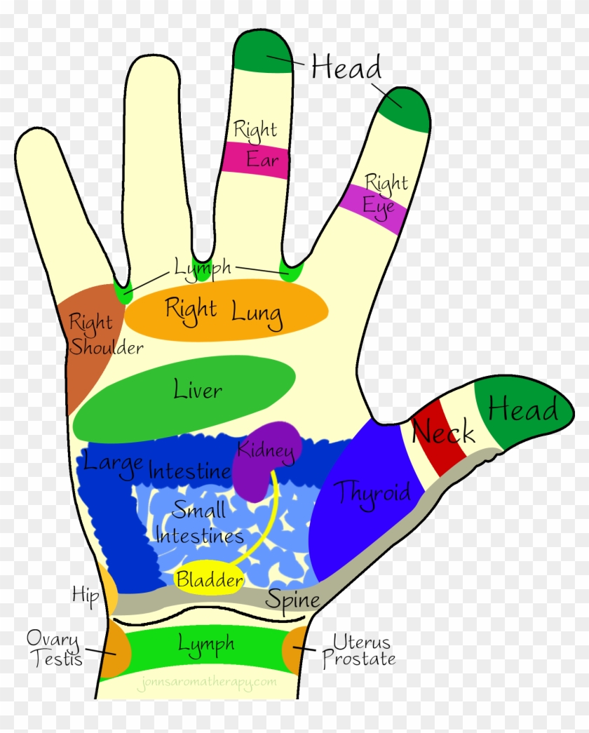Right Hand - Inside Palm Of Hand #882400